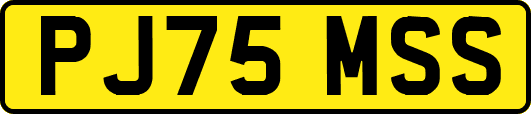 PJ75MSS