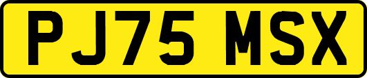 PJ75MSX
