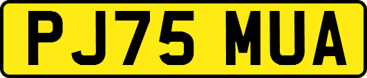 PJ75MUA