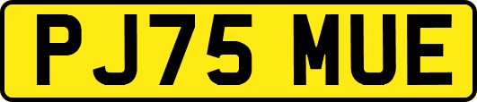 PJ75MUE