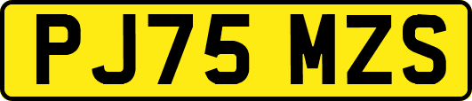 PJ75MZS