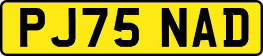 PJ75NAD