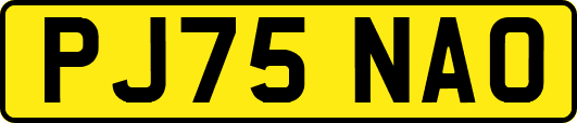 PJ75NAO