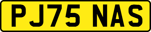 PJ75NAS