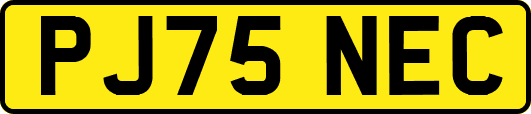 PJ75NEC