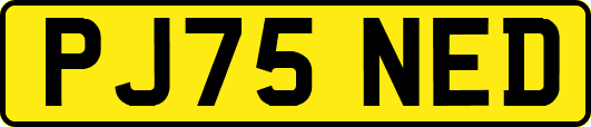 PJ75NED