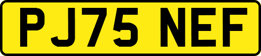 PJ75NEF