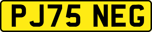 PJ75NEG