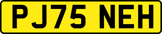 PJ75NEH