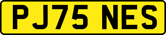 PJ75NES