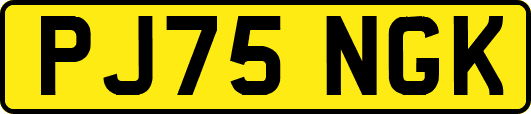 PJ75NGK