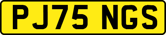 PJ75NGS