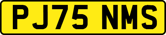 PJ75NMS