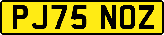 PJ75NOZ
