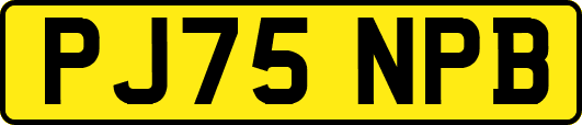PJ75NPB