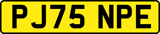 PJ75NPE