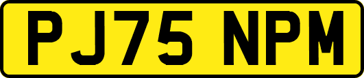 PJ75NPM