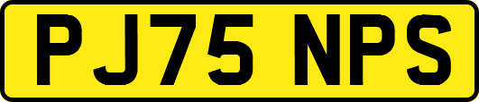 PJ75NPS