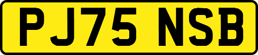 PJ75NSB