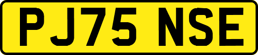 PJ75NSE