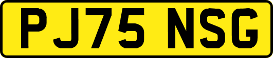 PJ75NSG