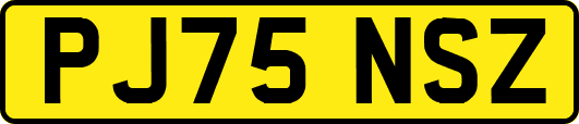 PJ75NSZ
