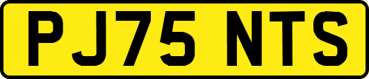 PJ75NTS