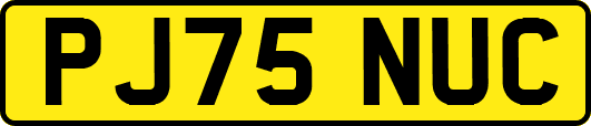 PJ75NUC