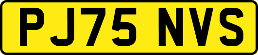 PJ75NVS
