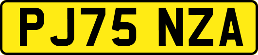 PJ75NZA