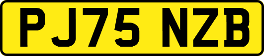 PJ75NZB