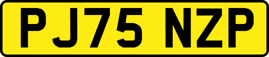 PJ75NZP