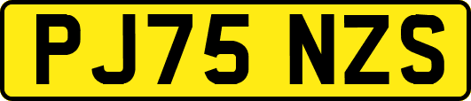 PJ75NZS