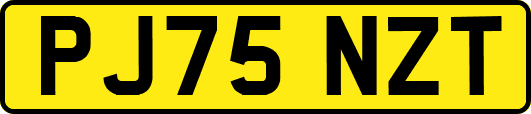 PJ75NZT