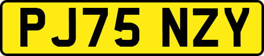 PJ75NZY