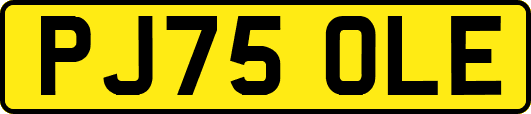 PJ75OLE