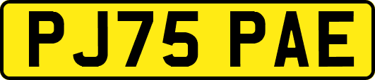 PJ75PAE