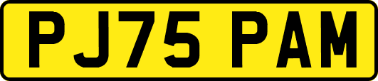 PJ75PAM