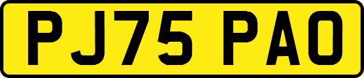PJ75PAO