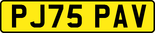 PJ75PAV