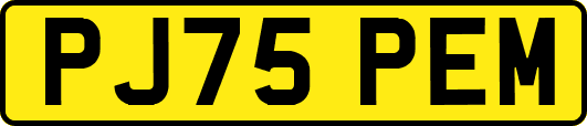 PJ75PEM