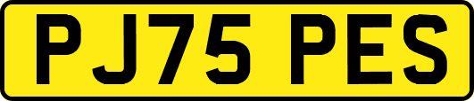 PJ75PES