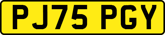 PJ75PGY
