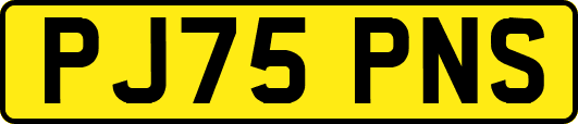 PJ75PNS