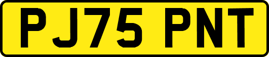 PJ75PNT