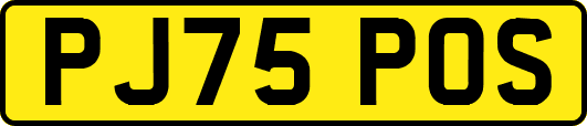 PJ75POS