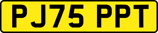 PJ75PPT