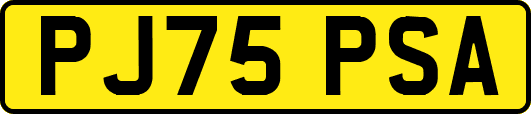 PJ75PSA