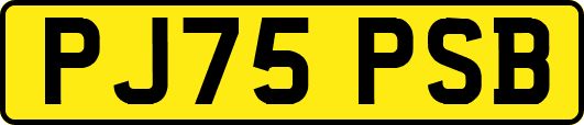 PJ75PSB