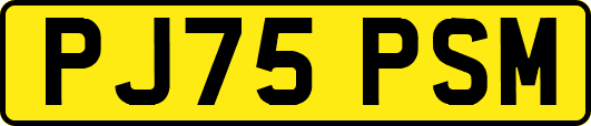 PJ75PSM